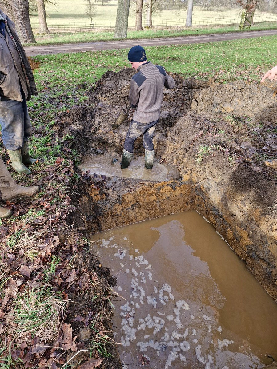 AdeysAlthorp's tweet photo. Collapsed 19th century clay drainage pipes are being replaced in Althorp park this today. No original drainage plans to work from. 
We needed to drain the standing water away from our oak trees.
A new pipe system will be in this week, we WILL leave plans!
Conservation@althorp.com https://t.co/eYeWPywEcU