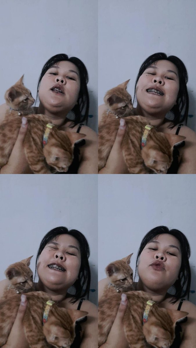 #. หุ่นแบบนี้อย่ามาถามเรื่องวิ่ง
ขนาดนั่งนิ่งๆยังเหนื่อยเลย #สาวอวบอ้วน #กำแพงเพชร #แมว