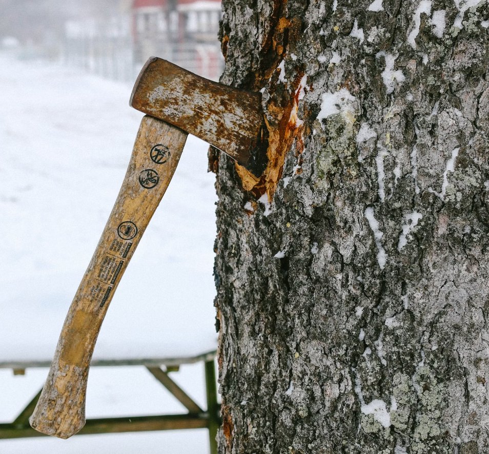 CanadianBPB's tweet image. From tree trimming to fire-smart strategies, Goertz Tree Service Ltd. in Sorrento, BC, has your tree care needs covered! 🌳🌟 Contact us for expert solutions today. #TreeCareExperts #CertifiedArborist #SorrentoBC