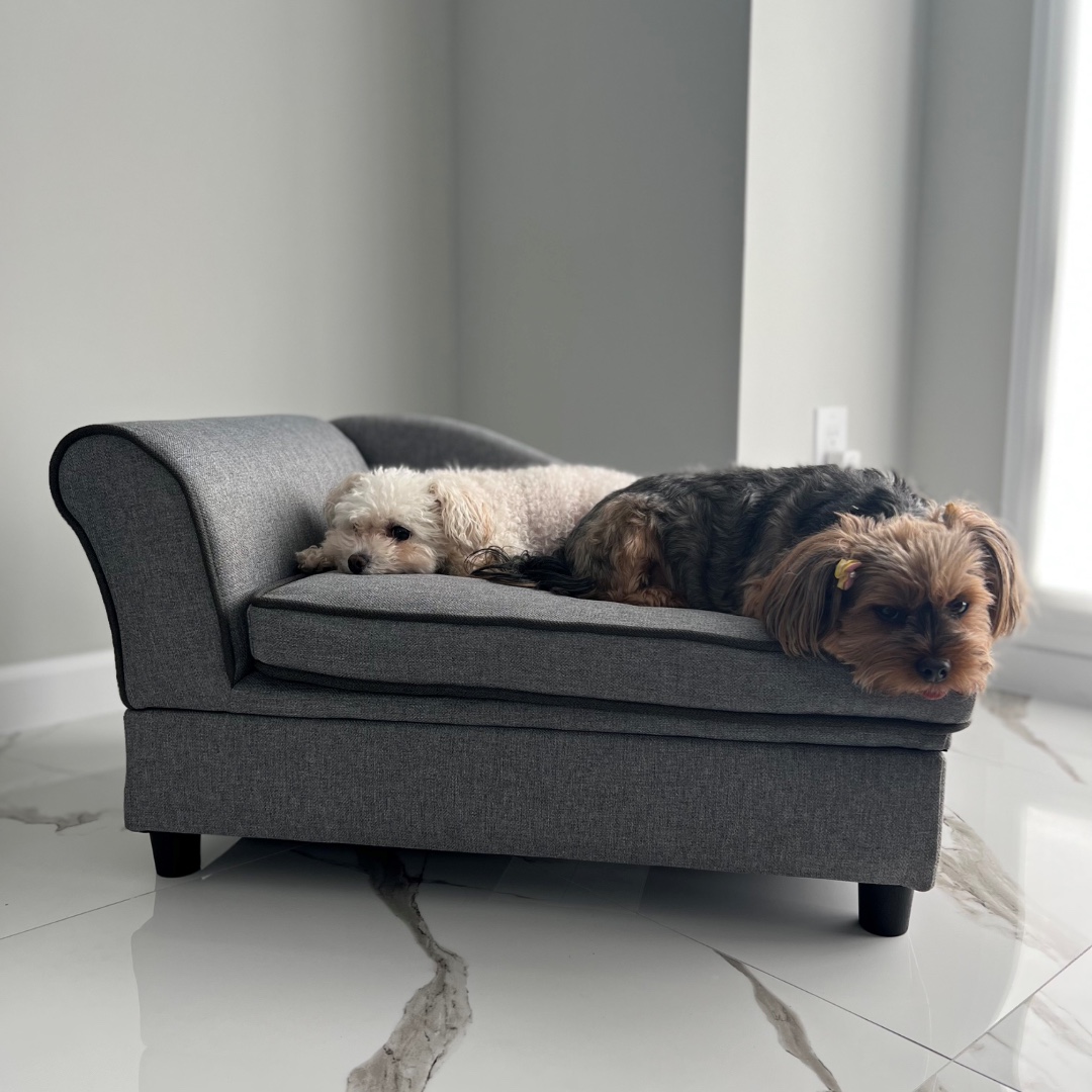 TeamsonGroup's tweet photo. Winter mornings are better when your pets have their own cozy corner. The Ivan Chaise Lounge offers both comfort and storage for your fur babies! โ๏ธ๐๏ธ
#designhappy #teamson #teamsonpet #petbed #dogs #cutedogs #dogbed https://t.co/pf1LocMFEc