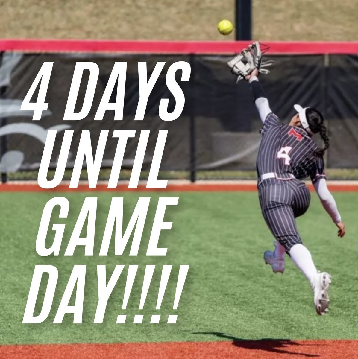 4 more days!!!! #rollnards 🐶 🥎