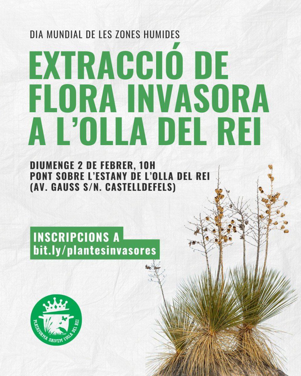 Salvem l'Olla del Rei tweet media