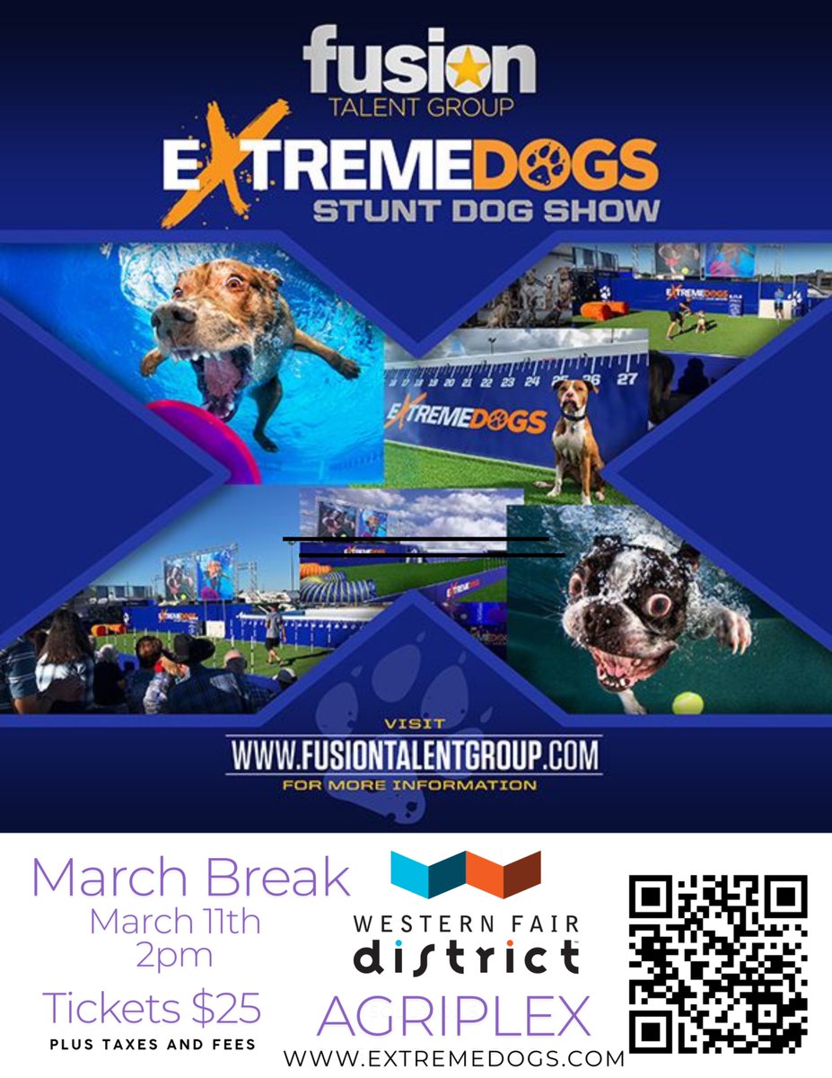 Extreme Dogs Stunt Dog Show tweet media