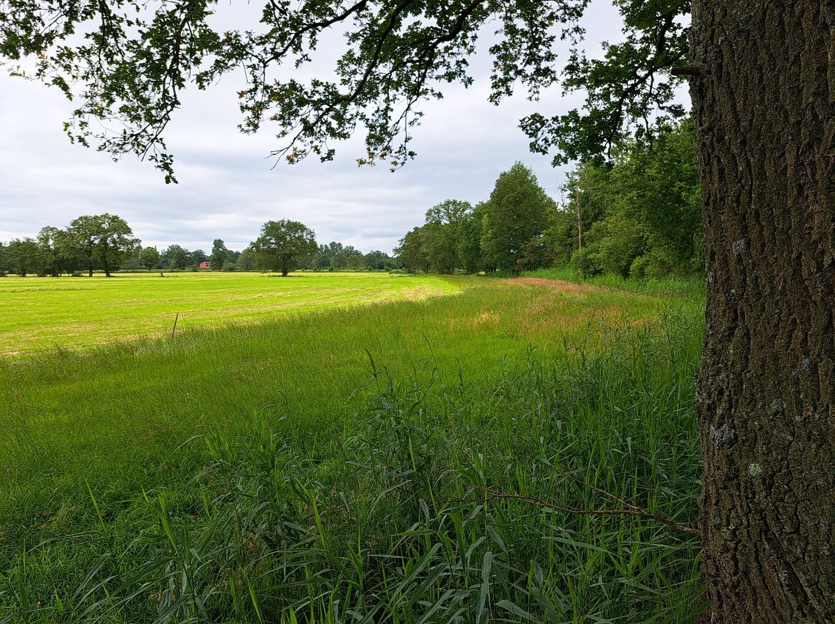 InterregAdmire's tweet image. 🤝Interreg ADMIRE in dialoog met landbouwers voor veenherstel🚜

🌿Vlaamse Landmaatschappij (VLM) zet in op samenwerking in overgangsgebieden tussen landbouw en natuur💦

☝Meer info  interregvlaned.eu/nieuws/in-dial…

@InterregVLANED @VLMtweet @MijnNatuurpunt @zooantwerpen @UAntwerpen