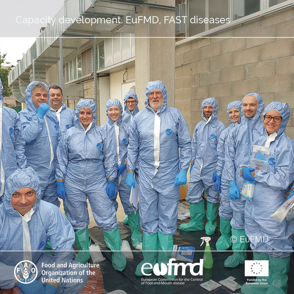We will be online, waiting for you tomorrow for the first webinar of our "Ask the Experts" series. FMD outbreak investigation 1 – Clinical recognition of FMD and other considerations - 12.00-13.00 CET (Rome time) Tuesday 28 January. Sign up here bit.ly/40uibC5