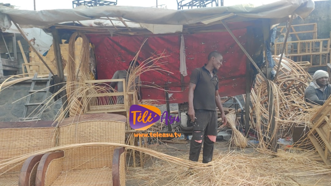 TeleAsuOfficiel's tweet photo. Artisanat : le rotin, tout un mode de vie
De la liane brute aux meubles raffinés et objets de décoration, cette matière naturelle aux multiples usages, est façonnée avec soin par les artisans de Ndogbat à Douala.
https://t.co/CWDfAveHva
#Artisanat #Rotin #TeleAsu https://t.co/4dLFN1Teq1