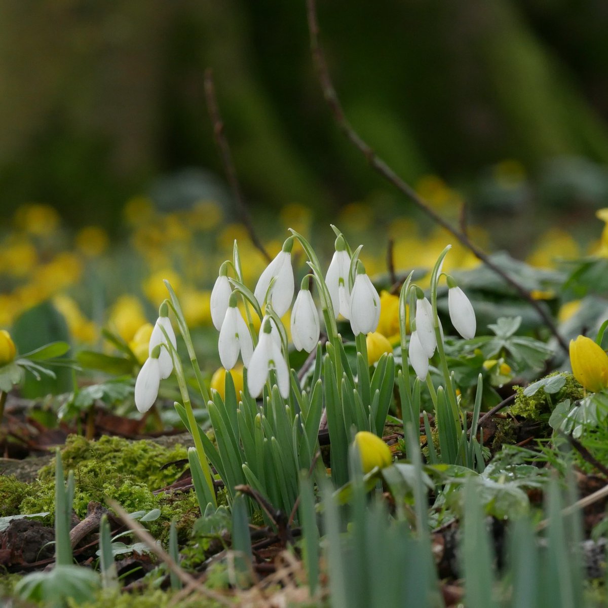 National Trust South West tweet media