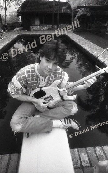 David Bertinelli tweet media