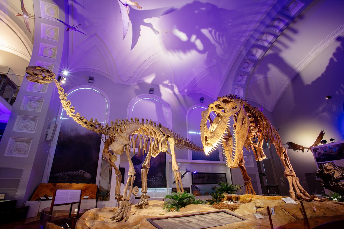 DiscoverFinland's tweet image. The Finnish Museum of Natural History LUOMUS  comprises three captivating attractions: the Natural History Museum, and the Botanic Gardens of Kaisaniemi and Kumpula, where visitors can become immersed in Finland's natural wonders: 
discoveringfinland.com/blog/exploring…
