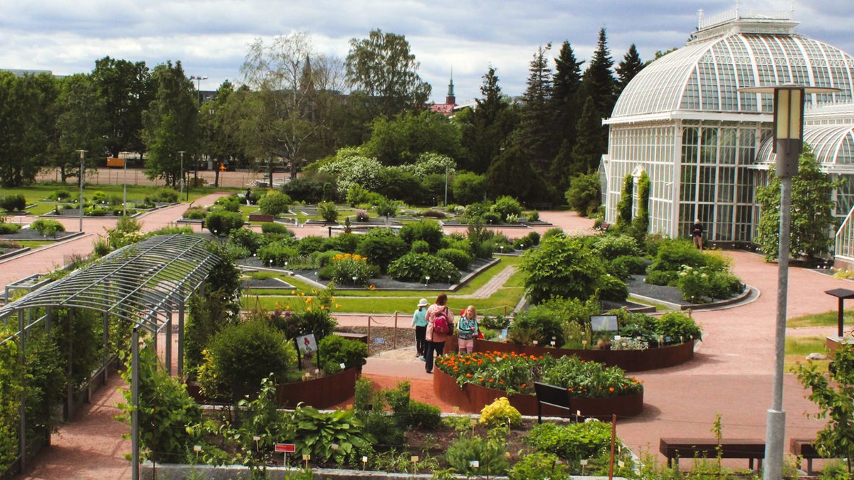 DiscoverFinland's tweet image. The Finnish Museum of Natural History LUOMUS  comprises three captivating attractions: the Natural History Museum, and the Botanic Gardens of Kaisaniemi and Kumpula, where visitors can become immersed in Finland's natural wonders: 
discoveringfinland.com/blog/exploring…