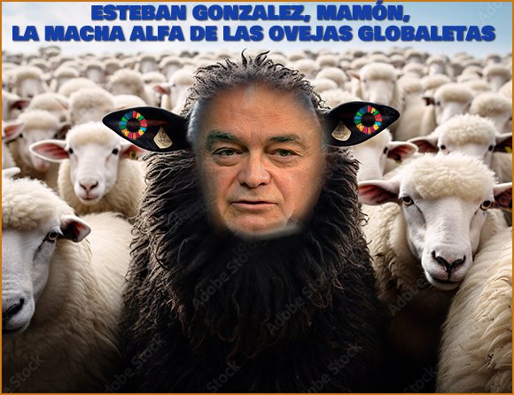 Ahora resulta que al amiguísimo de Feijoy, Esteban González Mamón, ha dejado, negro sobre blanco, su opinión de que Donald Trump  “se ha proclamado macho alfa de una manada de gorilas”. ¿Y qué eres tú? ¿Una  de las machita@s beta de una manada de ovejitas globaletas- trans?