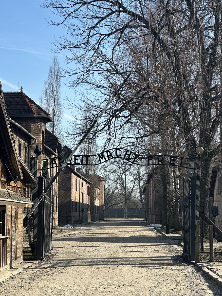 James Holland (@james1940) on Twitter photo I canโt stop think about the fragility of so much of what we take for granted. The Holocaust happened a pinprick in time ago, perpetrated by German people who had earlier also produced great art, literature, music, science and feats of engineering. Itโs no time for complacency. I canโt stop think about the fragility of so much of what we take for granted. The Holocaust happened a pinprick in time ago, perpetrated by German people who had earlier also produced great art, literature, music, science and feats of engineering. Itโs no time for complacency.