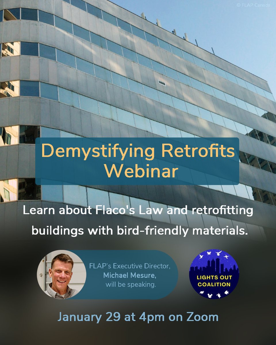 Join “Demystifying Retrofits” on January 29 at 4pm! 
 
FLAP Canada’s Executive Director, Michael Mesure, will be speaking at this webinar organized by New York’s Lights Out Coalition. 

You can Register for the webinar here: us06web.zoom.us/webinar/regist…