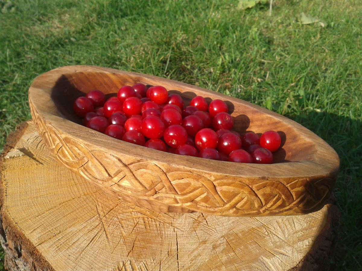 This is what the best food looks like from the best plate I carved out of wood. Instead of your mcdonald's!