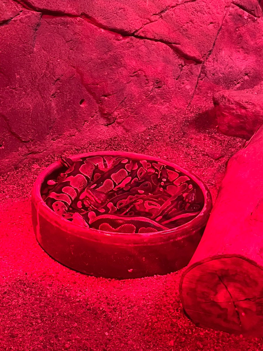 Akrabalar toplanmış