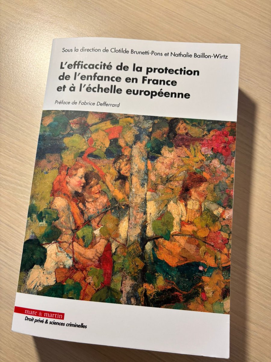 BMallevaey's tweet photo. L’ouvrage collectif pluridisciplinaire « L’efficacité de la protection de l’enfance en France et à l’échelle européenne » vient de paraître aux éditions @Mare_et_Martin. J’y signe une contribution sur l’intérêt supérieur de l’enfant dans les séparations parentales. https://t.co/ReTOlzTIDh