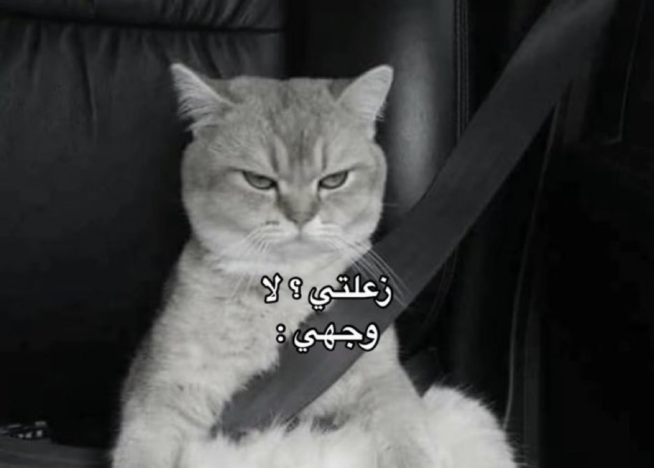 كل يوم صورة معبرة (@memesoficiial) on Twitter photo 