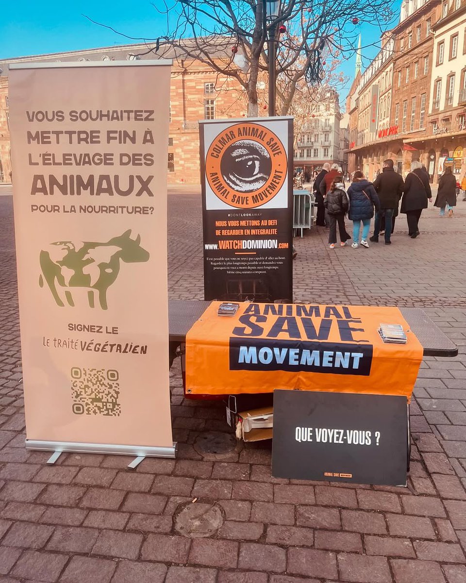 animalsavemvmt's tweet photo. Recently, our chapter, Cédric Comar Animal Save organized their 8th #SaveSquare at Place Kléber and Rue des Arcades in Strasbourg, France, Nine passionate activists engaged with the public, exposing the harsh realities of animal exploitation.
This event also featured a @Plant_Treaty stand for the first time, marking the start of an exciting collaboration to promote plant-based solutions.
👉 Join us on Saturday, February 15, at the same location for our next event to make an impact.