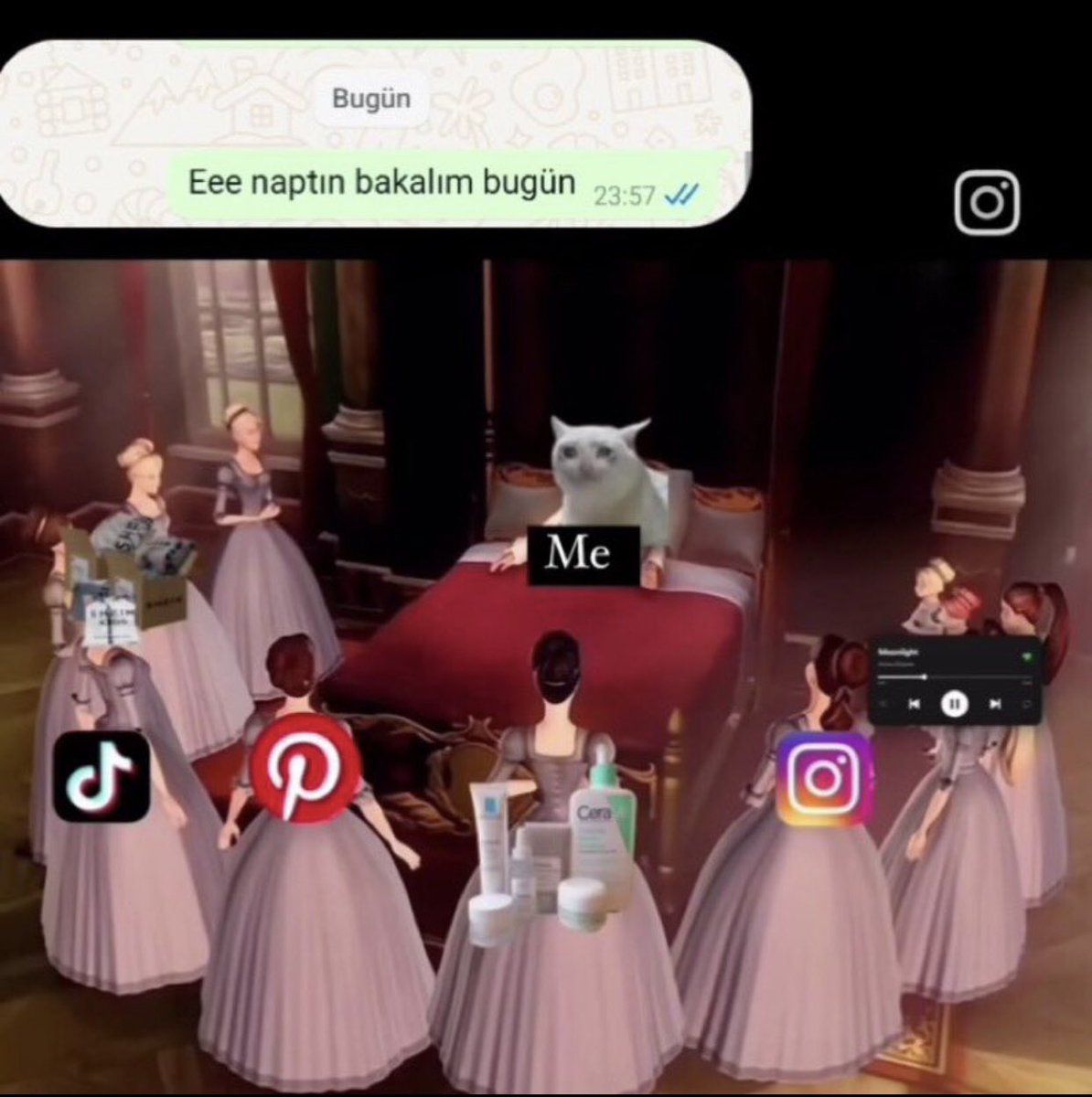 🎀🌻🐣🌸🤍 (@sydojs) on Twitter photo 