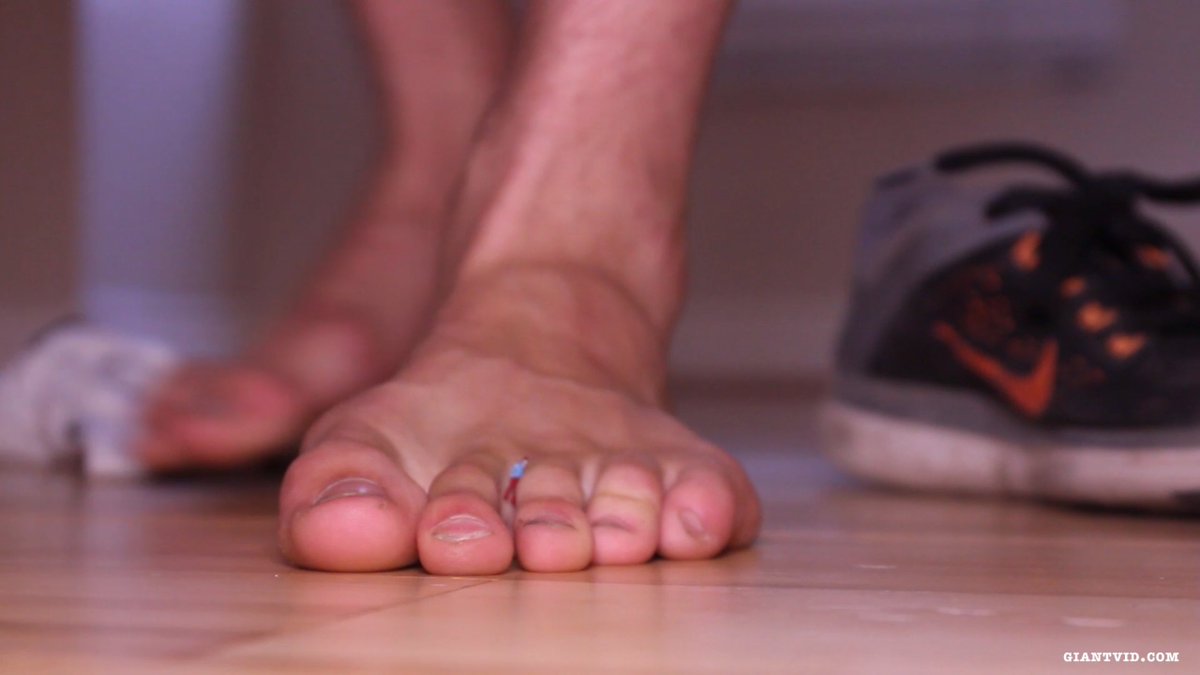 GiantVid Productions tweet media