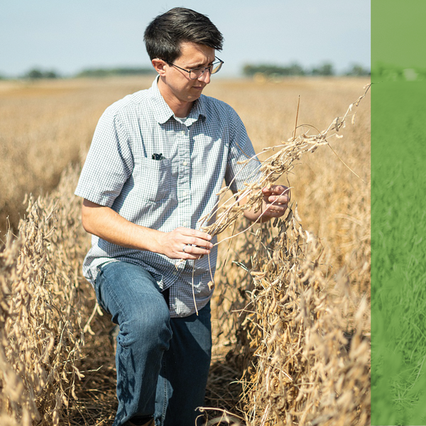 Ohiosoycouncil's tweet photo. Your #soybean checkoff contribution is an investment in your future. Through your #checkoff, OSC is focused on research to support agronomic improvements, technological advancements, and the development of new soybean products. 

Read more: https://t.co/sobqzcm0DI. https://t.co/DvdcDFoUUH