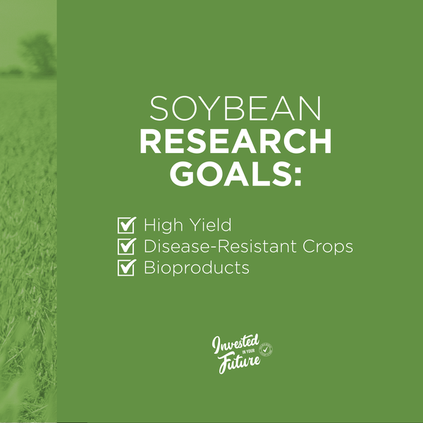 Ohiosoycouncil's tweet photo. Your #soybean checkoff contribution is an investment in your future. Through your #checkoff, OSC is focused on research to support agronomic improvements, technological advancements, and the development of new soybean products. 

Read more: https://t.co/sobqzcm0DI. https://t.co/DvdcDFoUUH
