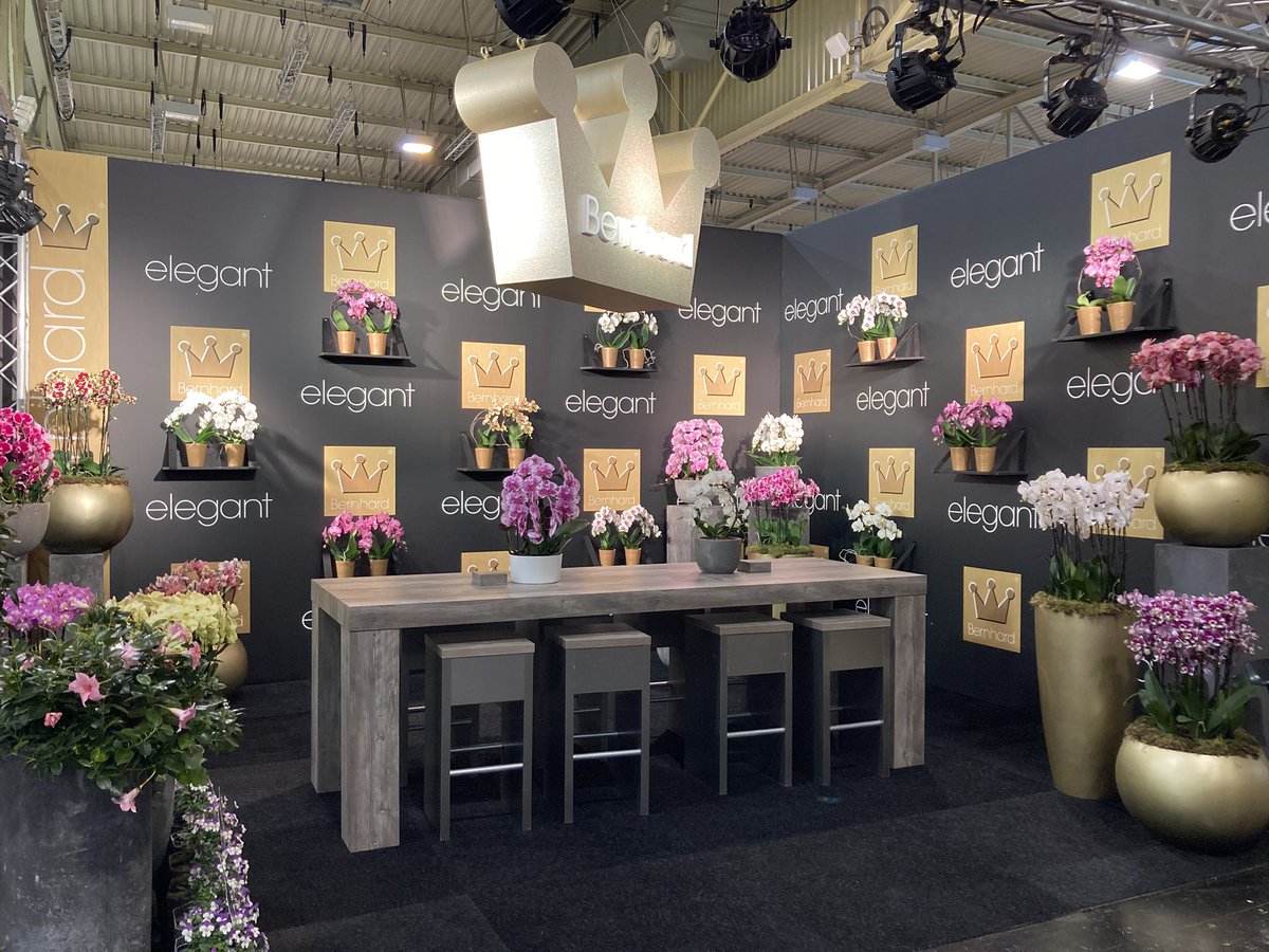 Welkom <a href="/ipmessen/">ipm-essen</a> Hal 1 standnummer E37 #kwekerijbernhard #bernhardorchids #bernhardpatio #bernhardelegant