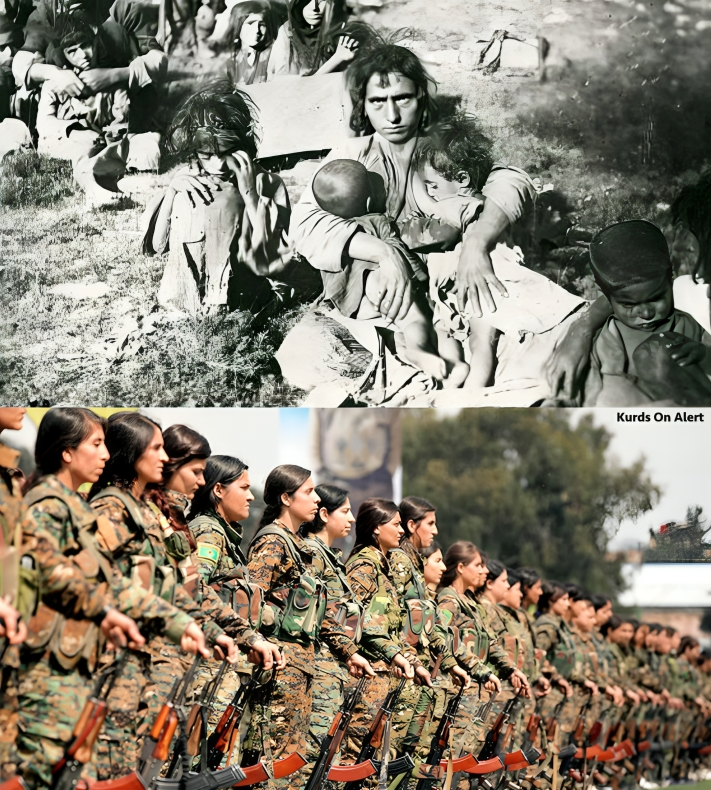 brannfgkoa's tweet image. Bir daha asla.

#Dêrsîm #Rojava 
#DefendRojava