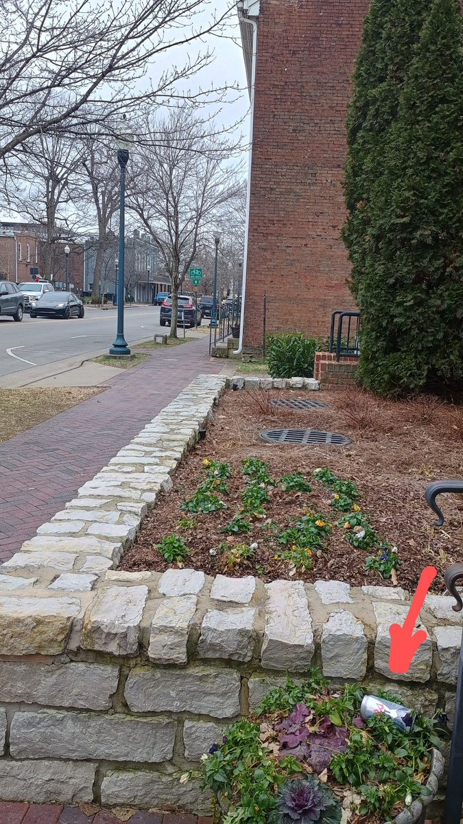 Travelled from Ireland to #heavensouth #franklin Everything picture perfect except for #onebeercan <a href="/BradPaisley/">Brad Paisley</a> 😂🤠😍