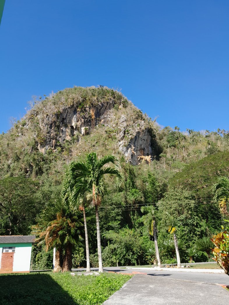 FEU UPR ✊💚 tweet media