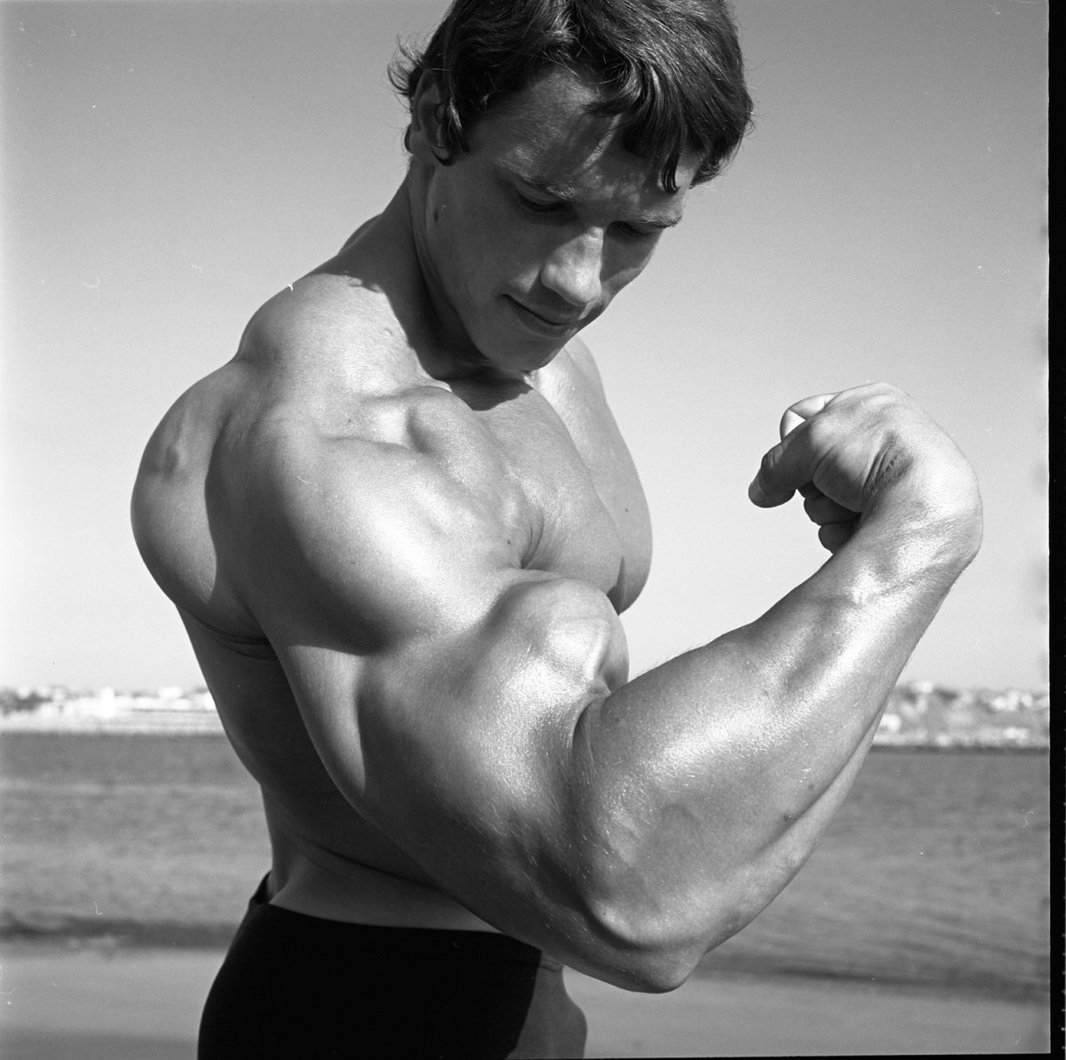 Arnold Schwarzenegger tweet media