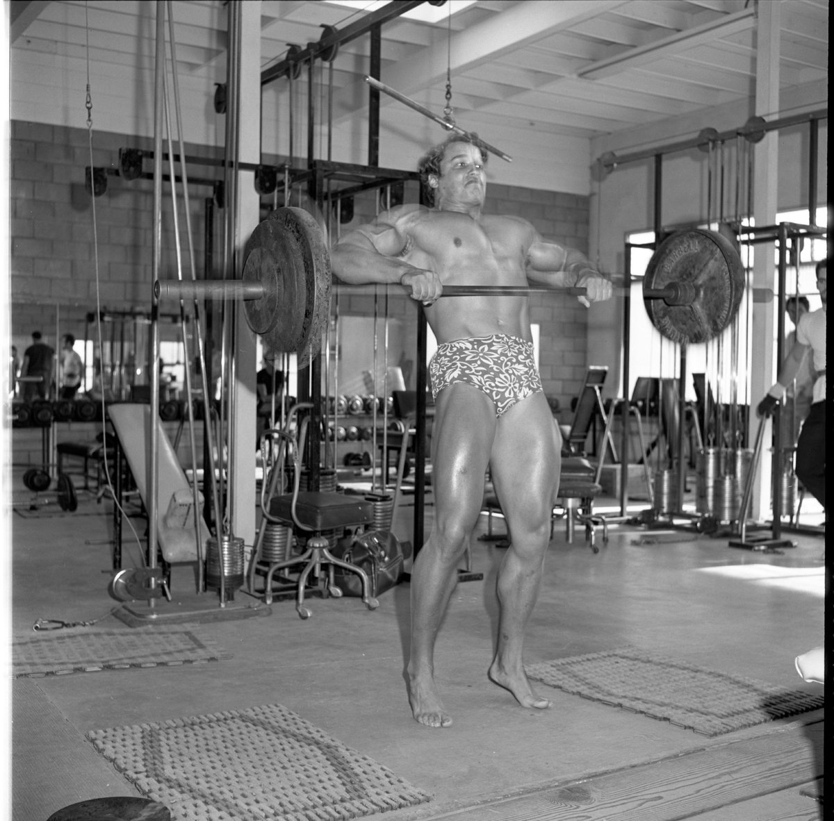 Arnold Schwarzenegger tweet media