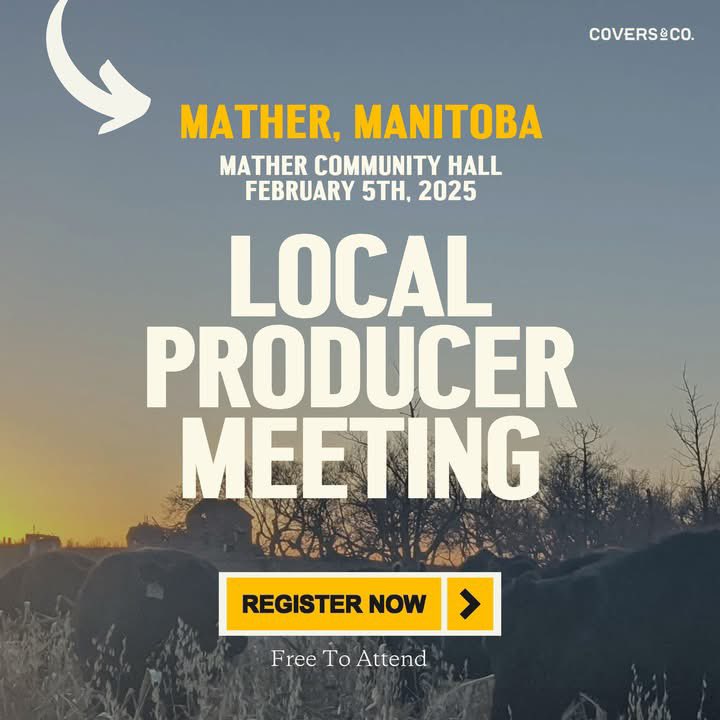 Connor English tweet media