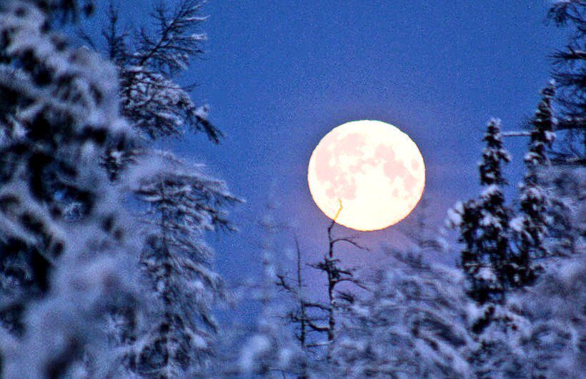 ViktorXvv's tweet image. &quot;Зимний Вечер за окошком,
Яркий в небе Орион.
Между Будущим и Прошлым,
Страж порога Верный Он!

Красивее всех созвездий,
Царь для звёзд у всех времён.
С ним сравнится только Лебедь,
В синем небе летним днём.&quot;⚘🥰💖
   #ИринаКоробкина

#ДобройНочи!!!⚘🥰💖
#ЧудныхСнов!!!⚘🥰💖