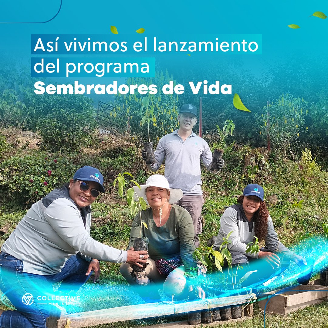 Collective_Col's tweet photo. ¡Sembradores de Vida ya está en marcha! 🌱 Un proyecto que nace con el compromiso de cuidar y proteger el entorno, de la mano de 6 comunidades de Supía.

​🤝 Juntos, creamos nuevos espacios donde la naturaleza y el bienestar van de la mano. 🌍💚 ¡Un paso más hacia una #ExploraciónQueMarca un futuro más sostenible!