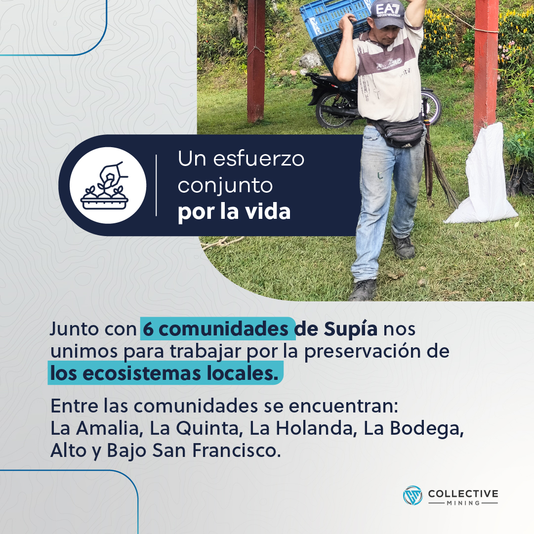 Collective_Col's tweet photo. ¡Sembradores de Vida ya está en marcha! 🌱 Un proyecto que nace con el compromiso de cuidar y proteger el entorno, de la mano de 6 comunidades de Supía.

​🤝 Juntos, creamos nuevos espacios donde la naturaleza y el bienestar van de la mano. 🌍💚 ¡Un paso más hacia una #ExploraciónQueMarca un futuro más sostenible!