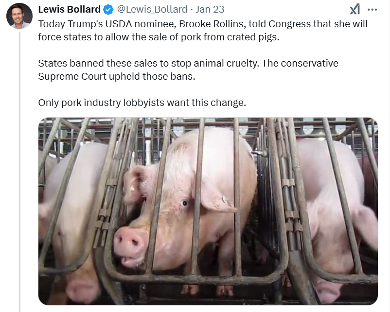 Dan Howe tweet media