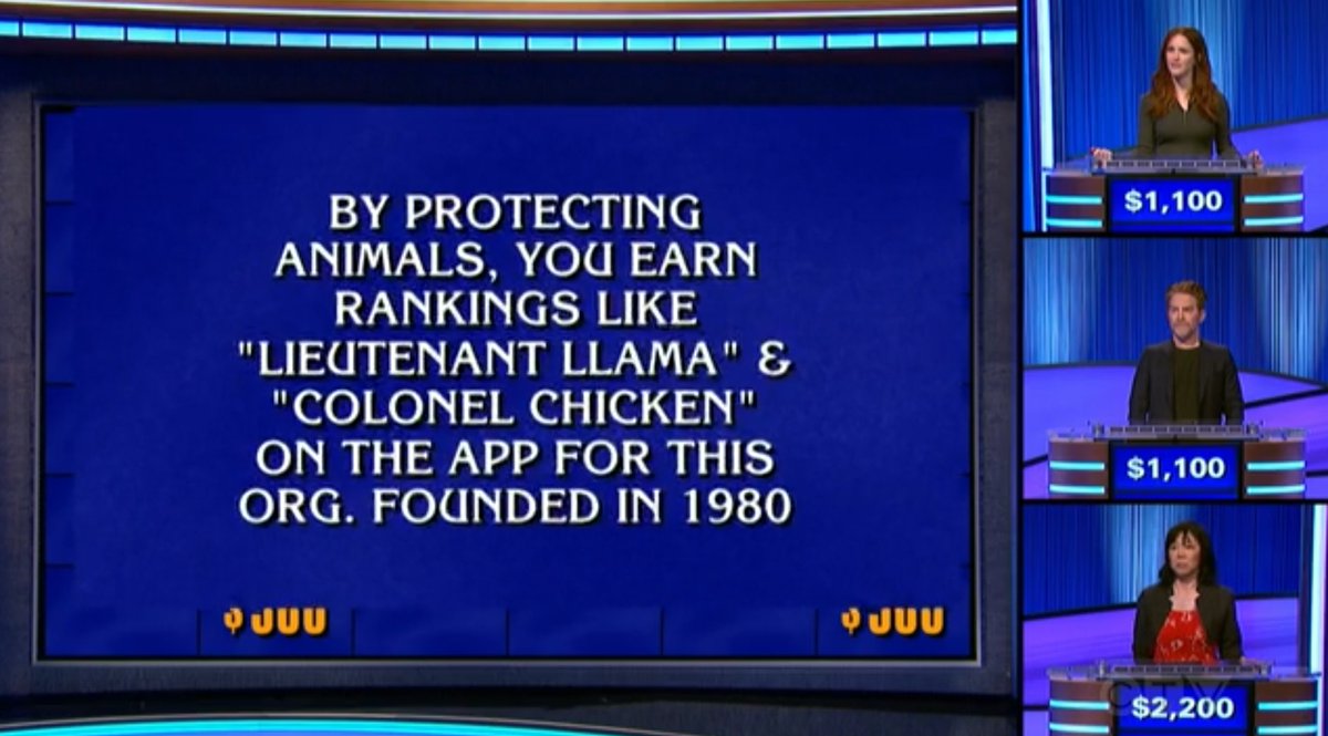 DanHowe's tweet image. &quot;What is PETA?&quot; 🦙🐤