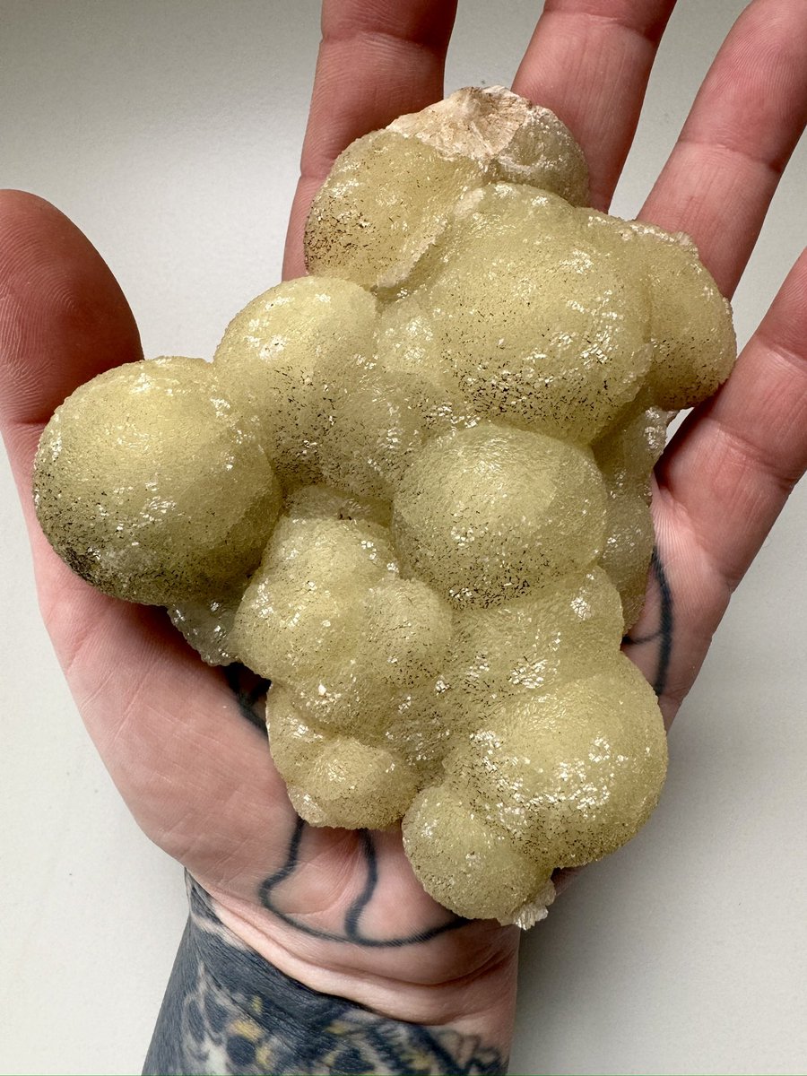 Tasty looking prehnite from Old Kilpatrick, West Dunbartonshire for #MineralMonday 🏴󠁧󠁢󠁳󠁣󠁴󠁿