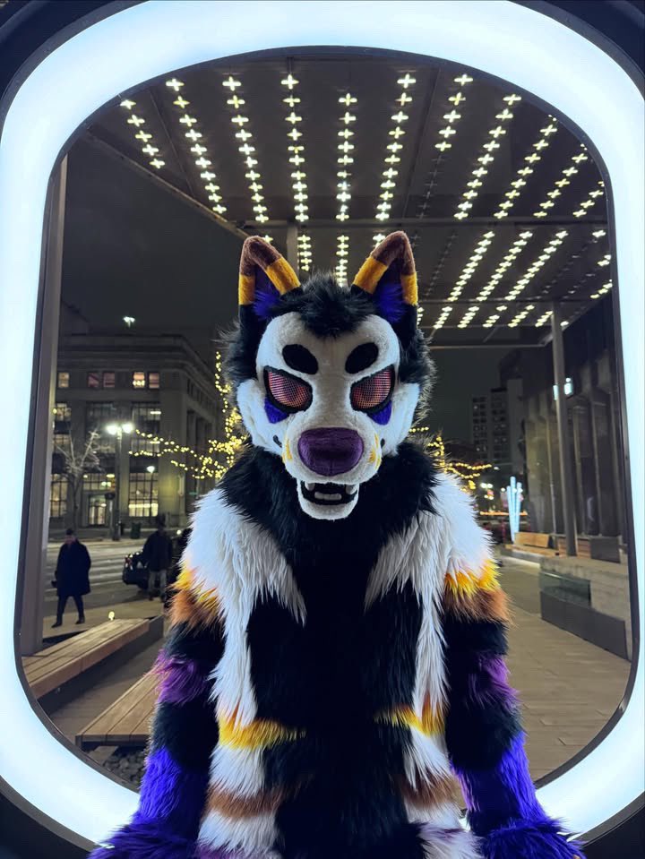 Hallow (@hallowjackal) on Twitter photo 