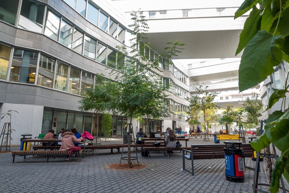 🎉📚 ¡La Facultad de Ciencias de la Educación ya está en Bluesky! 

Nos unimos a esta red social para compartir contigo noticias vinculadas con eventos y actividades que tienen lugar en nuestro centro.  

🔗 Encuéntranos como: @educacionus.bsky.social