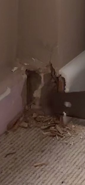 NeedDietCoke's tweet photo. Obsessed with Chelsea Lee art sawing a hole into her council flat on a random Monday afternoon https://t.co/HdNUkiuk20