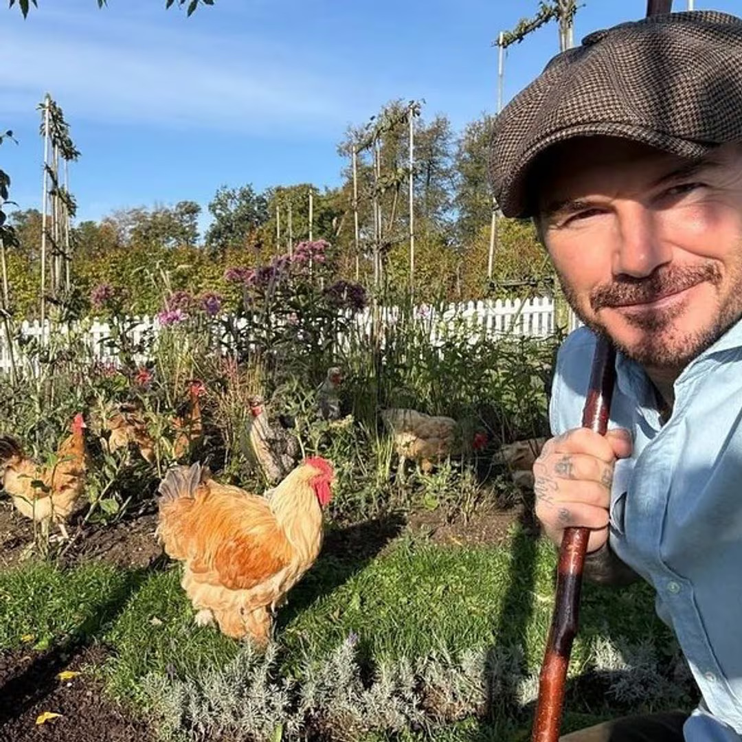 imacubex's tweet photo. @Finanzas_Times beckham sabe cosas https://t.co/didIrF5JXG