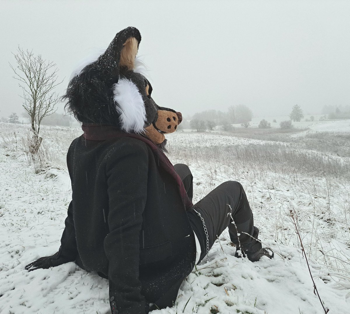 Tyler 🔜 EF🍹 tweet media