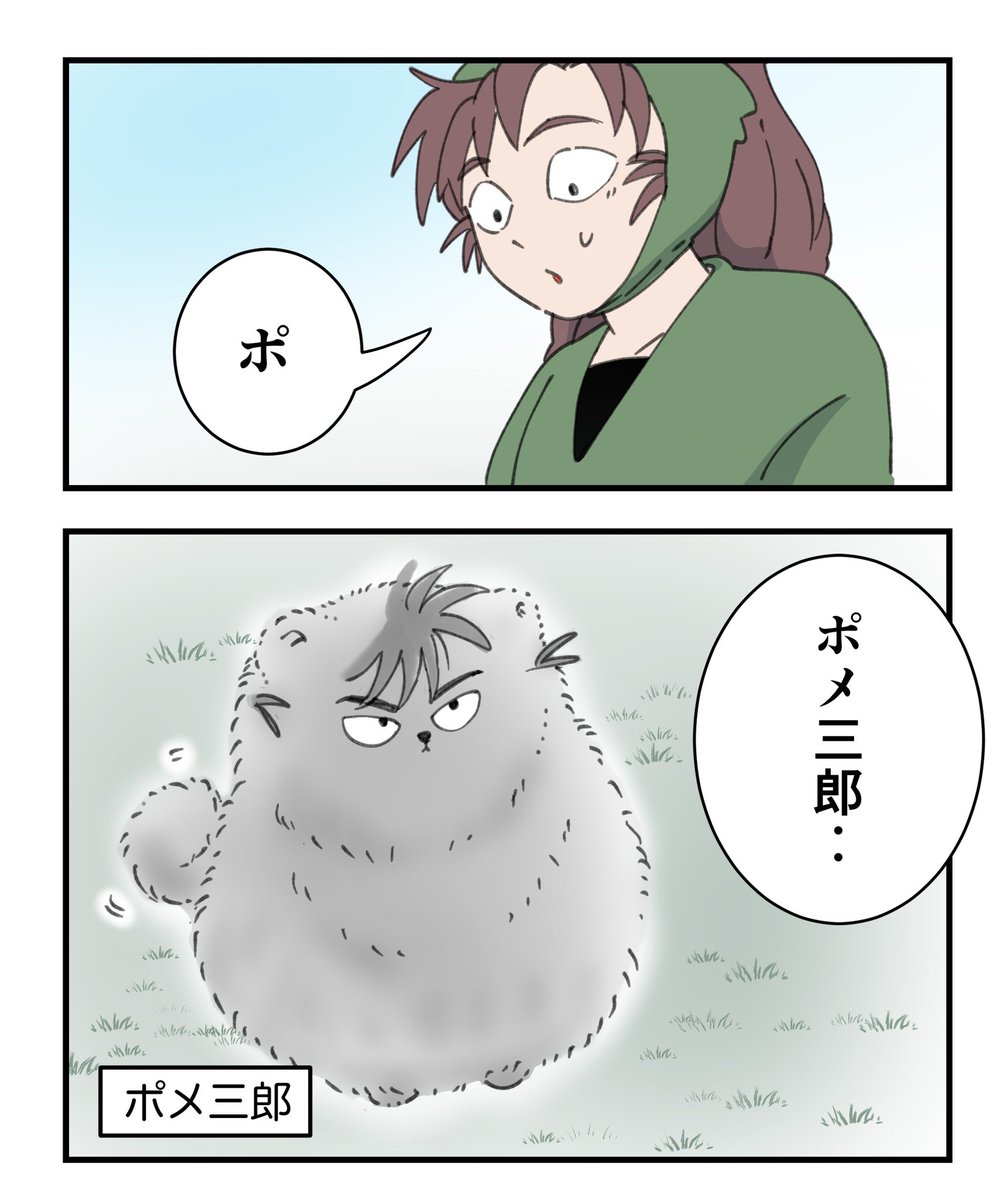ポメ三郎‥

(仲良し六は☺️) 