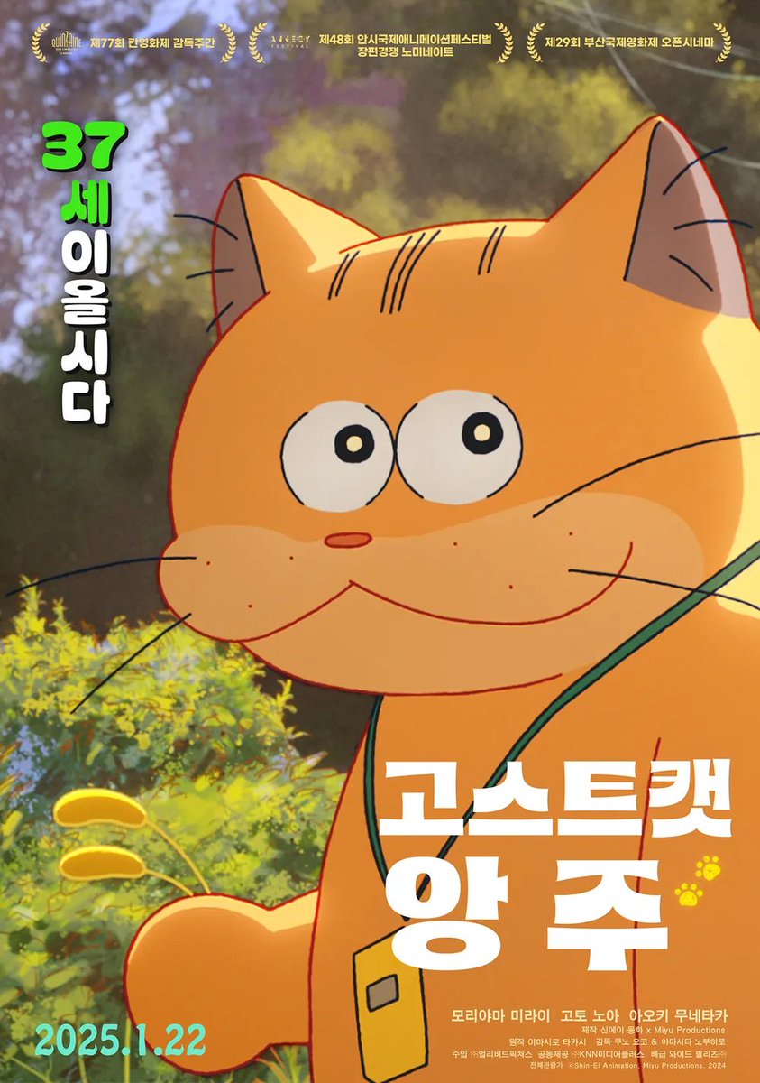 <고스트캣 앙주> 봤다!
비오는 날 스님에게 발견돼 소세지절에 입양된 앙주
30여년이 지나서도 죽지 않고 결국 고양이 요괴가 되었다는 앙주 소개가 영화 초반에 나오는데 우리 호람이 겨울이도 그렇게 계속 건강하게 살아서 고양이 요괴가 되면 좋겠다는 생각에 나도 모르게 눈물이 좌라라락 흘러서..