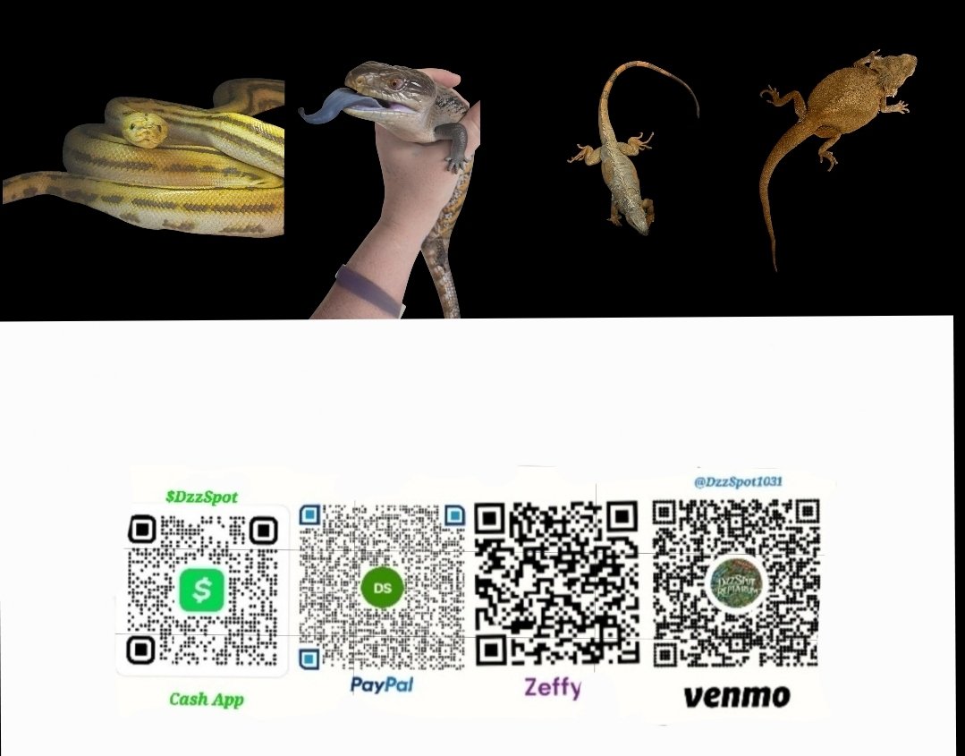 Rescues rely on donations to help provide food, shelter and pay for veterinary care.  If you would like to donate we now accept a few different options.  We are a 501c3 non-profit public charity organization so donations are tax deductible. 
Thank you for your support.