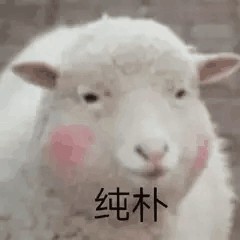 yituohanhan's tweet photo. @bjjccghnj 赞了，不为被抽中，只为拉低各位中奖率 https://t.co/jDt7rsFYen