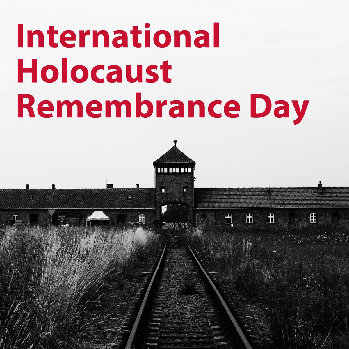 Jyoti Gondek tweet media