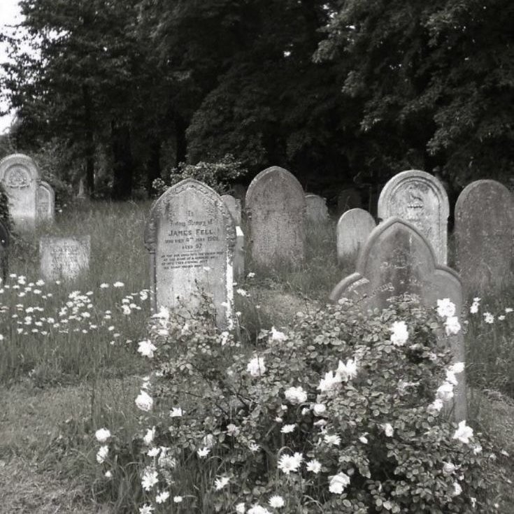 MAGENTALIV's tweet image. 